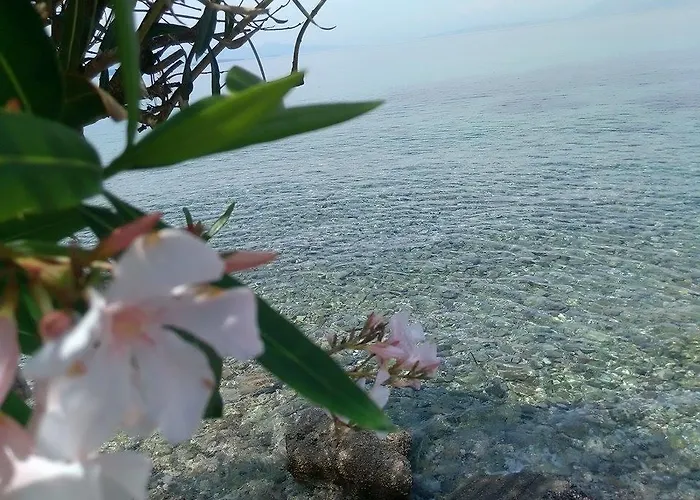 Ampelaki * Mpoukaris