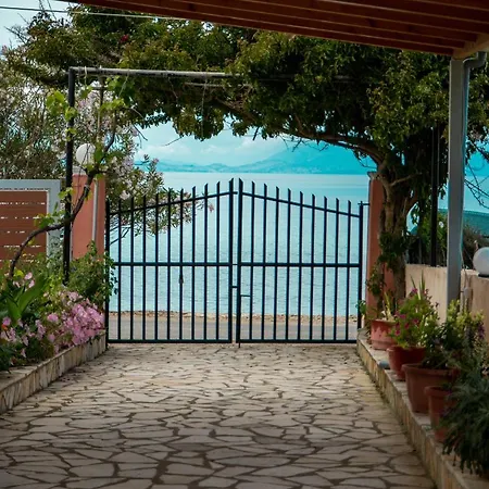 Ampelaki * بوكاري