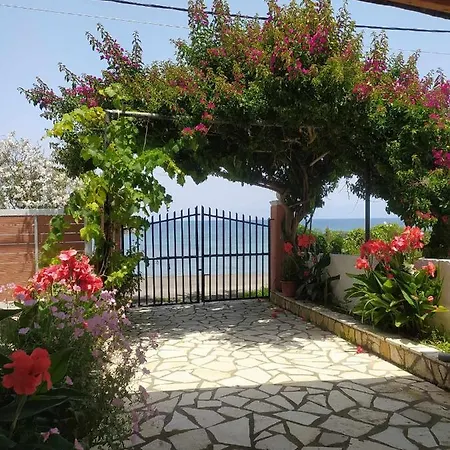 Ampelaki * بوكاري