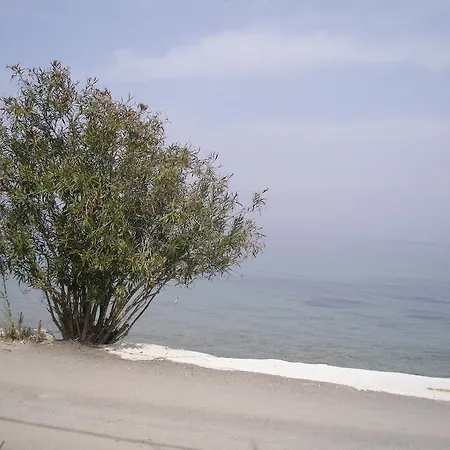 Ampelaki بوكاري